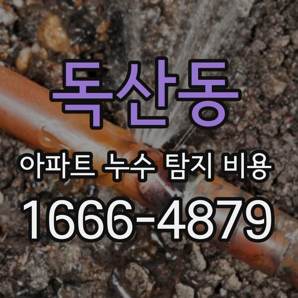 독산동 아파트 누수 탐지 비용