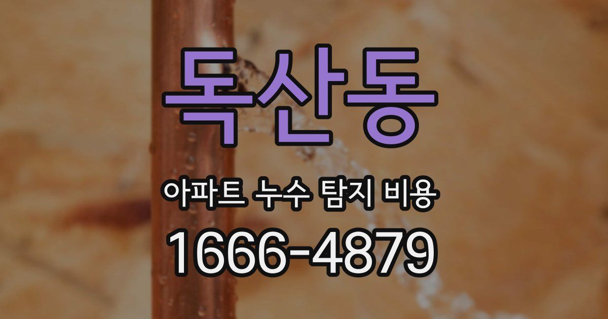 독산동 아파트 누수 탐지 비용