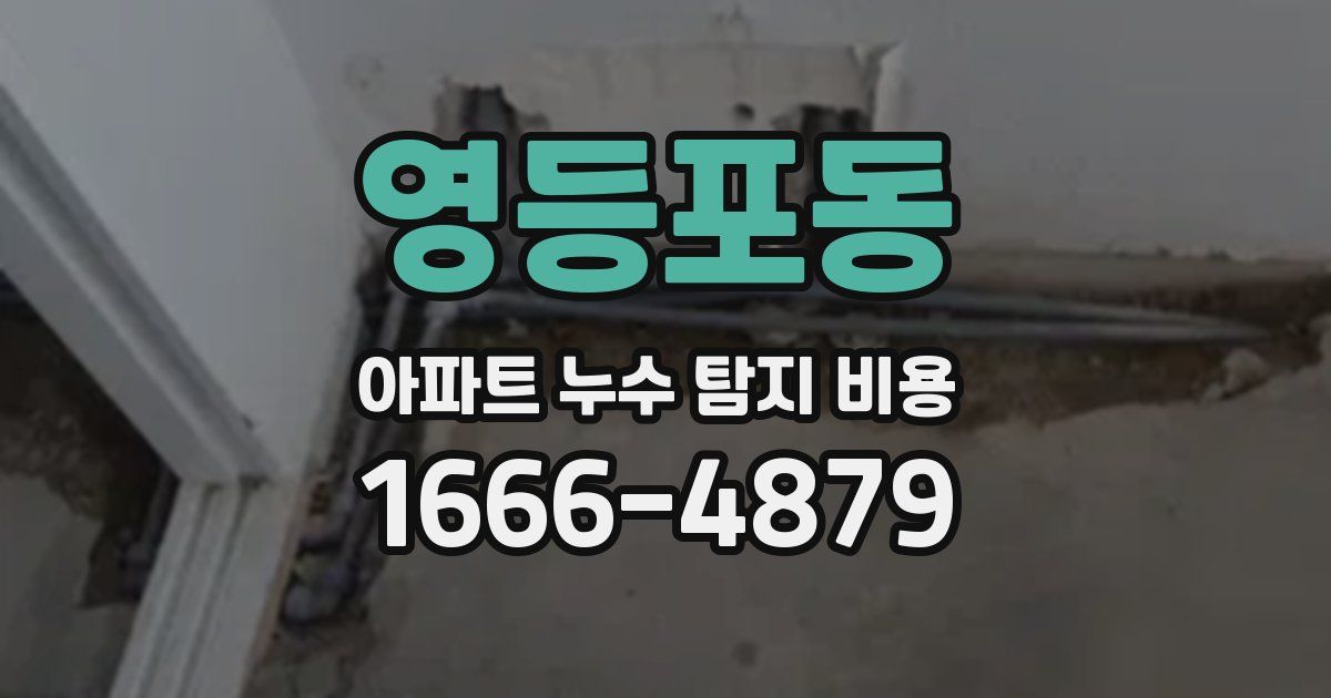 영등포동 아파트 누수 탐지 비용