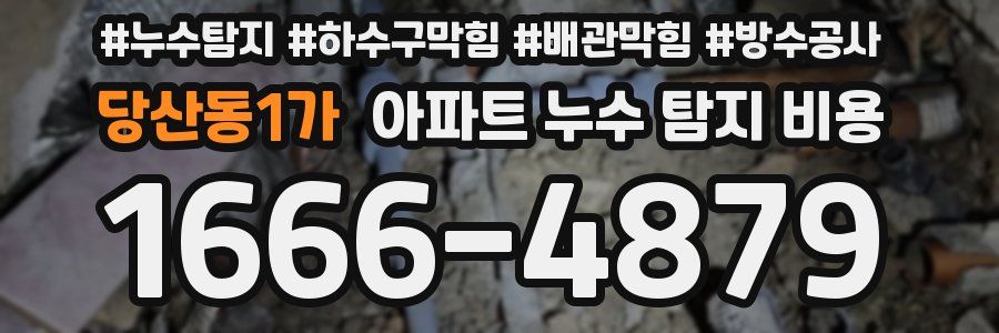 당산동1가 아파트 누수 탐지 비용