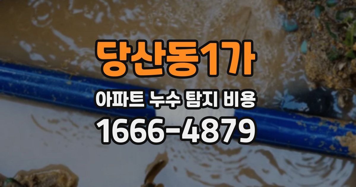 당산동1가 아파트 누수 탐지 비용