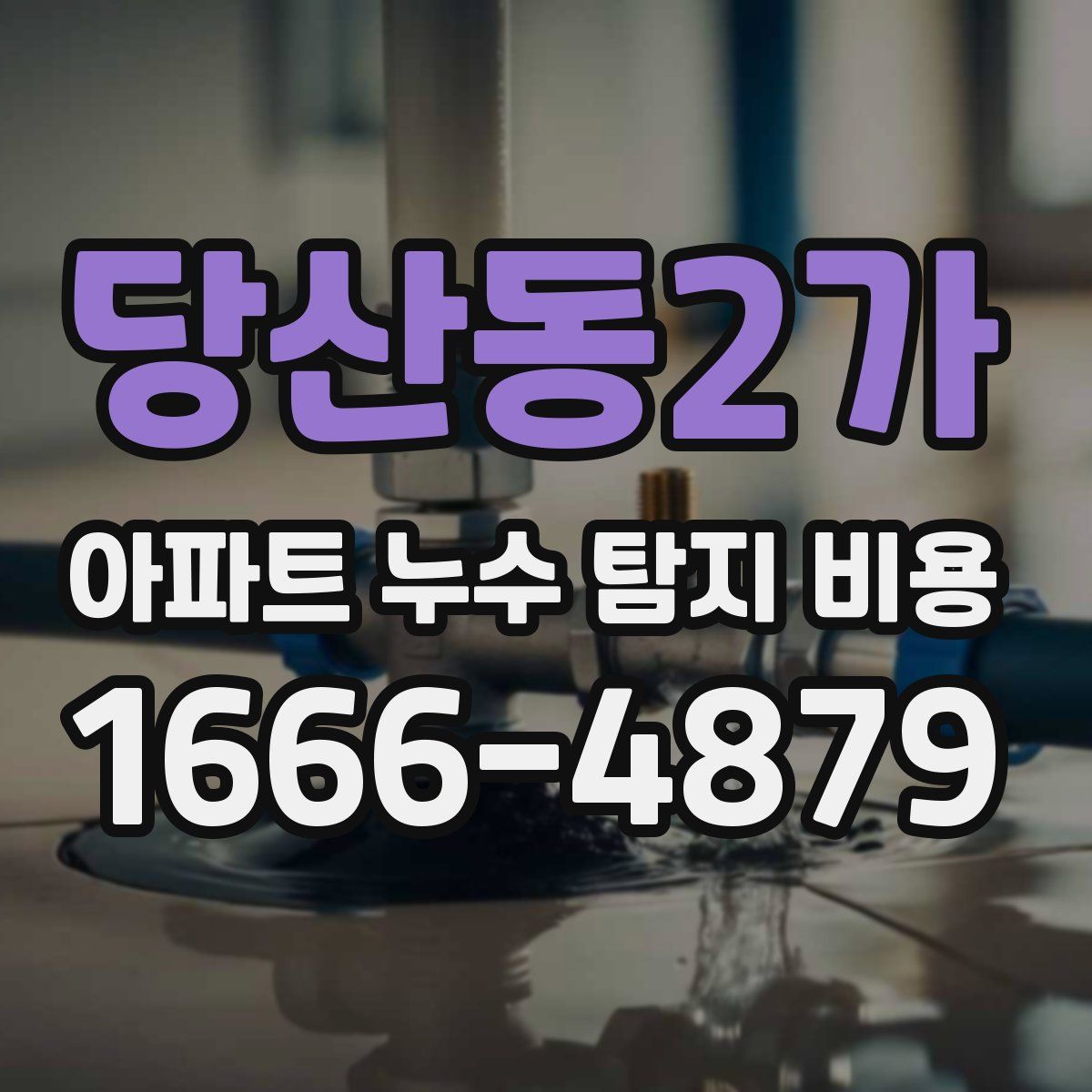 당산동2가 아파트 누수 탐지 비용