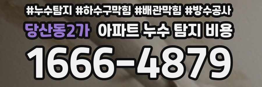 당산동2가 아파트 누수 탐지 비용