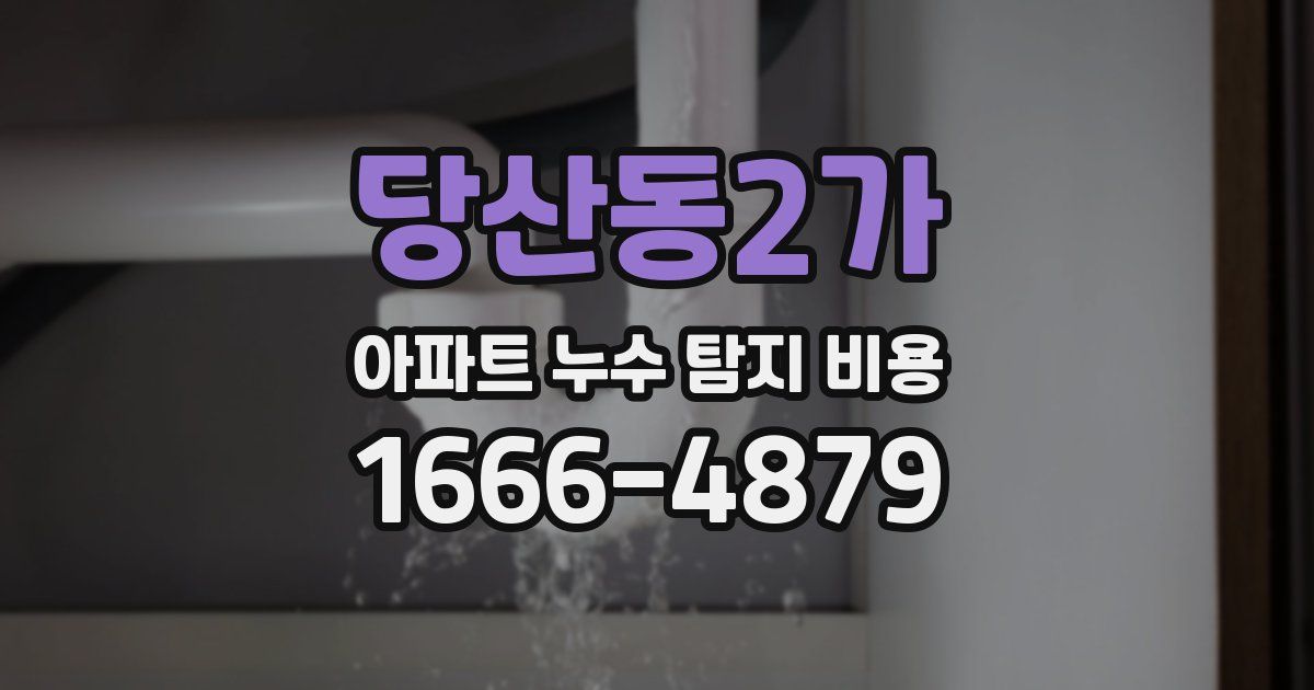 당산동2가 아파트 누수 탐지 비용