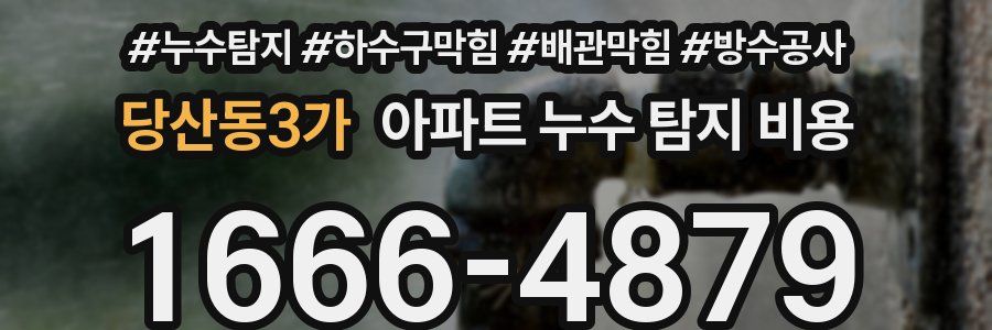 당산동3가 아파트 누수 탐지 비용