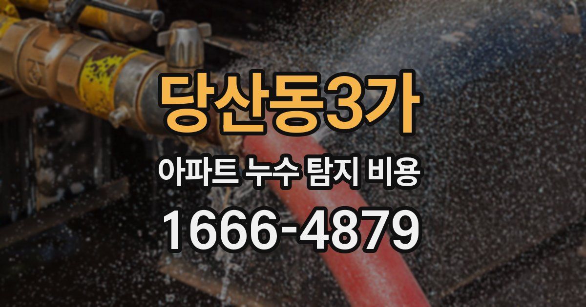 당산동3가 아파트 누수 탐지 비용
