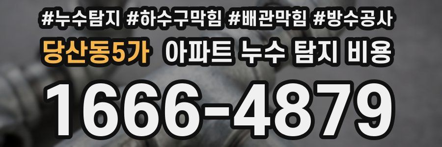 당산동5가 아파트 누수 탐지 비용
