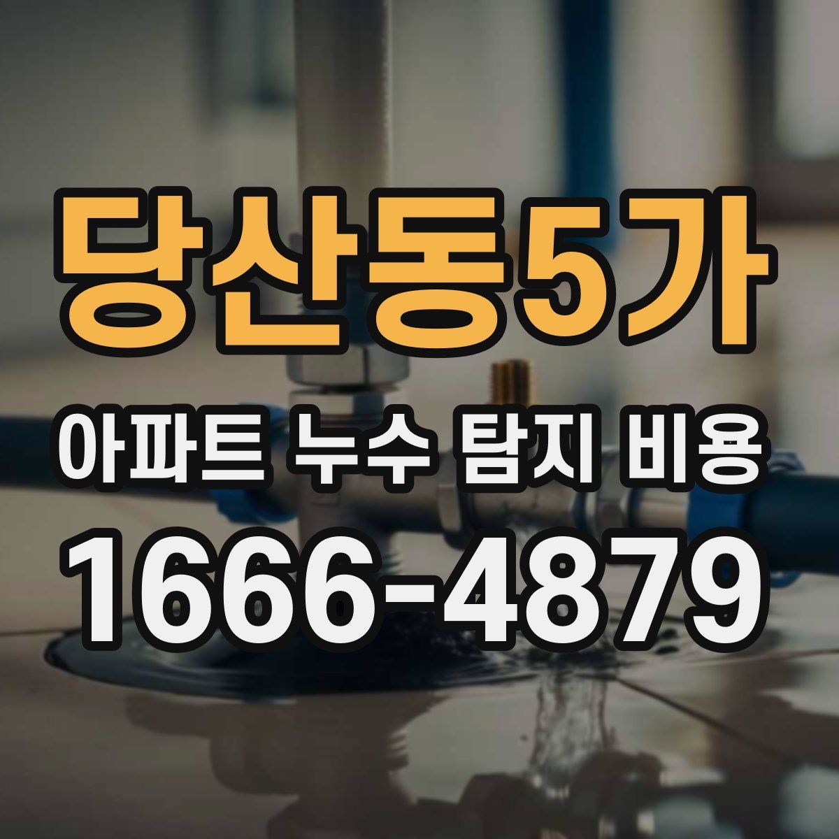 당산동5가 아파트 누수 탐지 비용