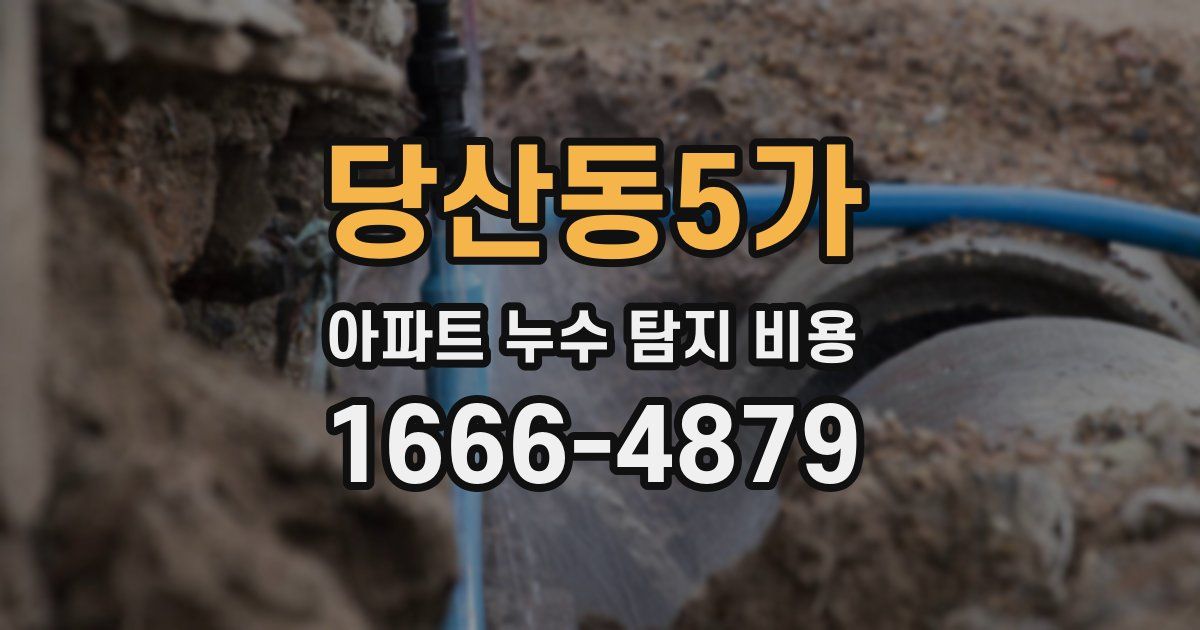 당산동5가 아파트 누수 탐지 비용