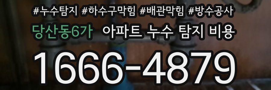 당산동6가 아파트 누수 탐지 비용
