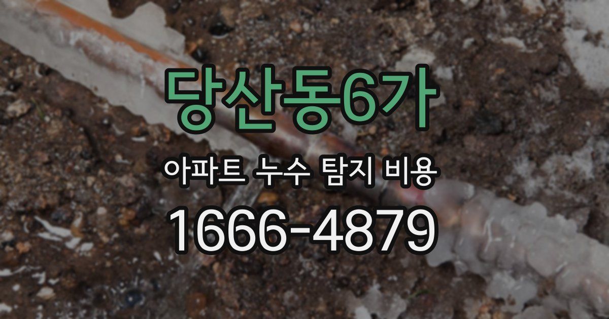 당산동6가 아파트 누수 탐지 비용