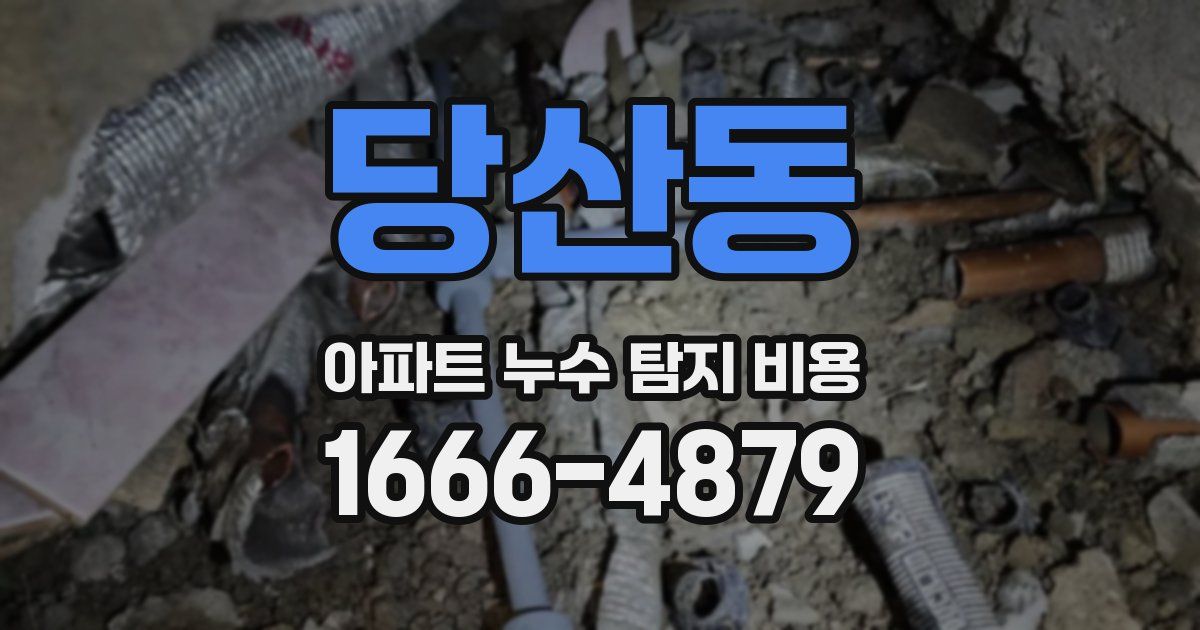 당산동 아파트 누수 탐지 비용