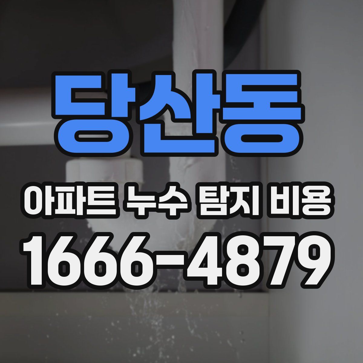 당산동 아파트 누수 탐지 비용