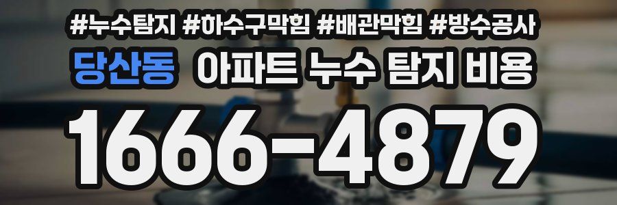 당산동 아파트 누수 탐지 비용