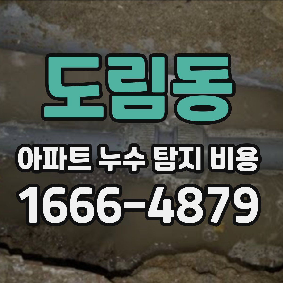 도림동 아파트 누수 탐지 비용