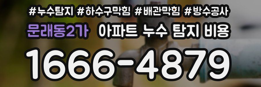 문래동2가 아파트 누수 탐지 비용