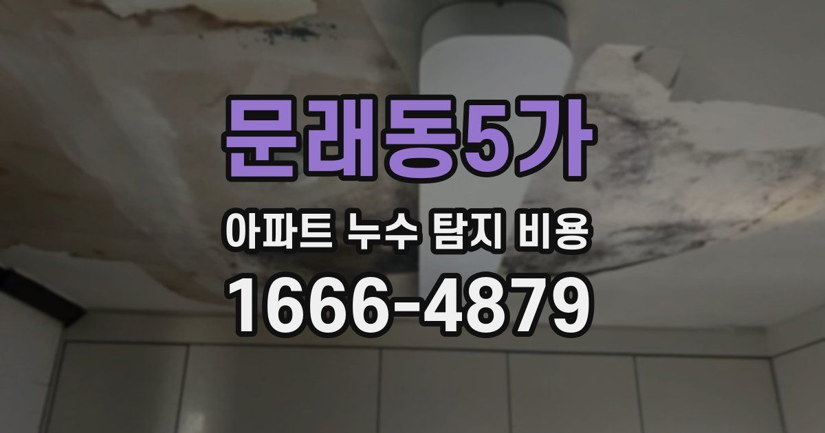 문래동5가 아파트 누수 탐지 비용