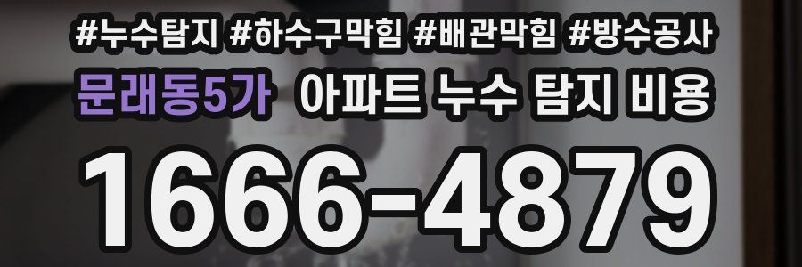 문래동5가 아파트 누수 탐지 비용
