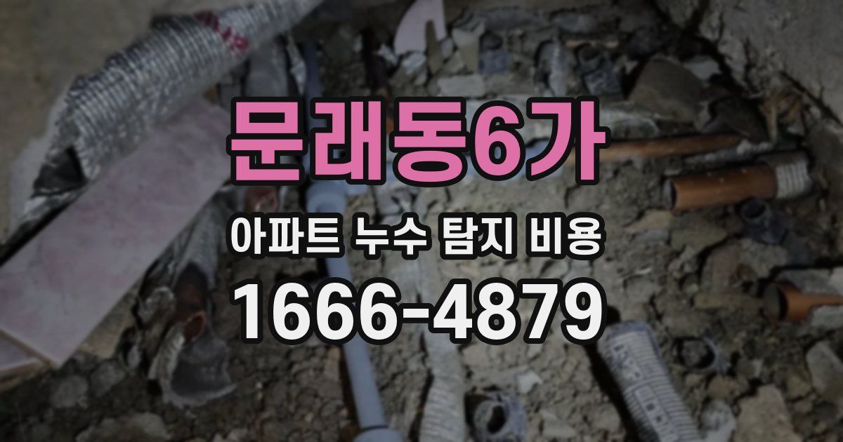 문래동6가 아파트 누수 탐지 비용