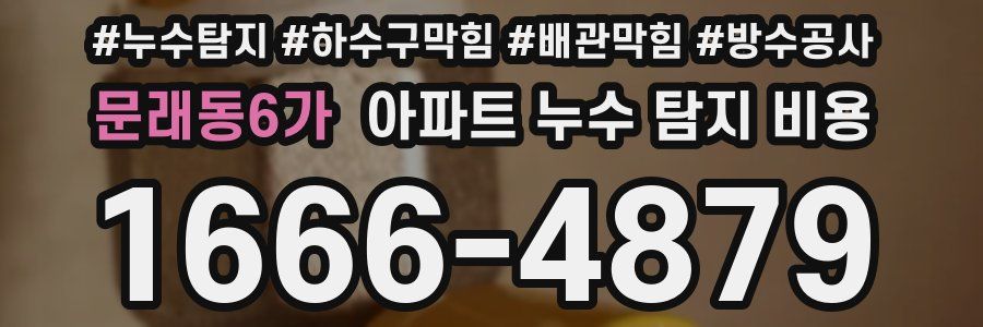 문래동6가 아파트 누수 탐지 비용