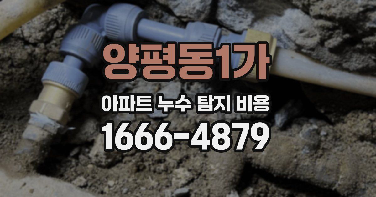 양평동1가 아파트 누수 탐지 비용