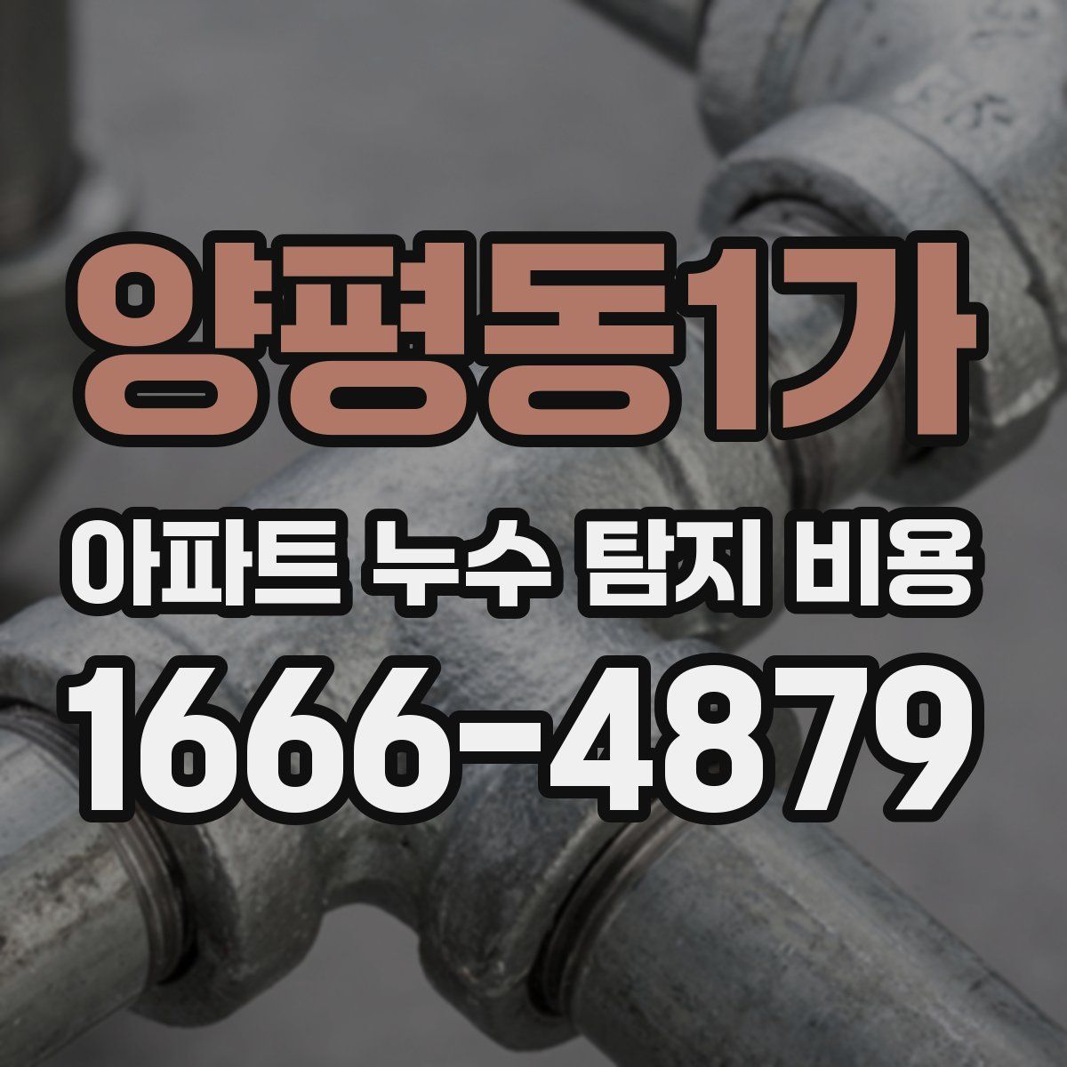 양평동1가 아파트 누수 탐지 비용