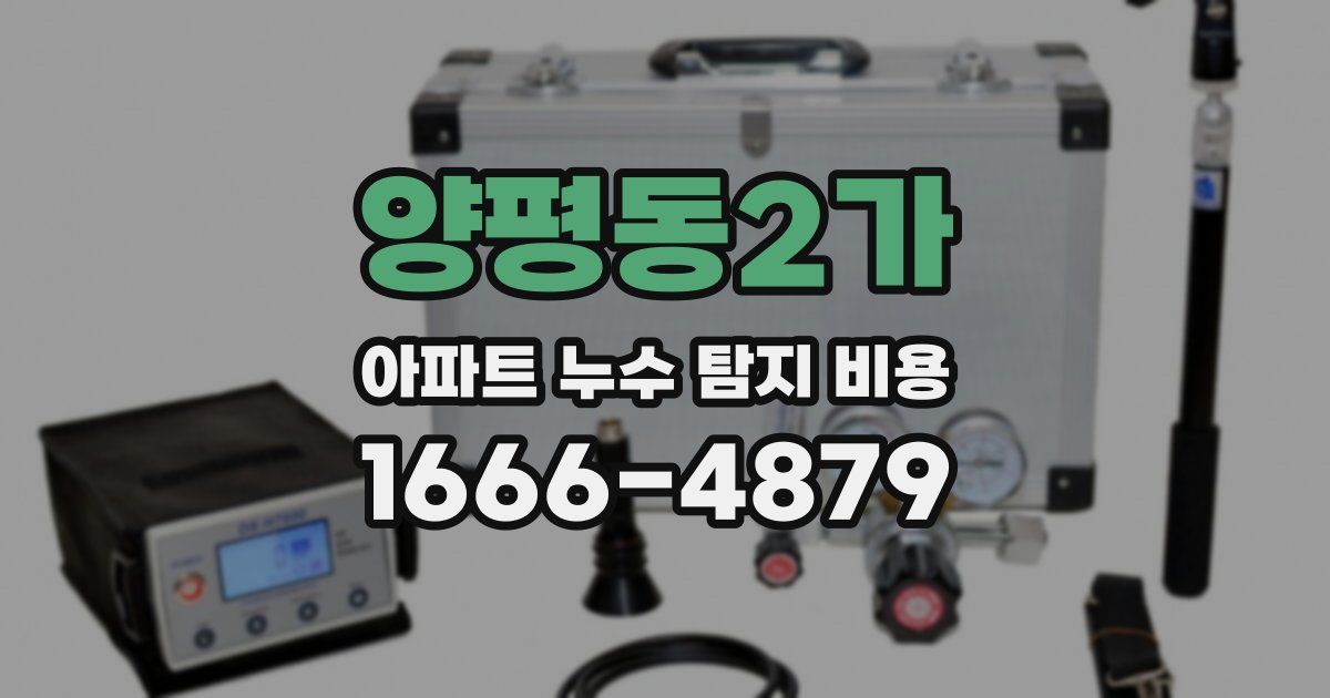 양평동2가 아파트 누수 탐지 비용