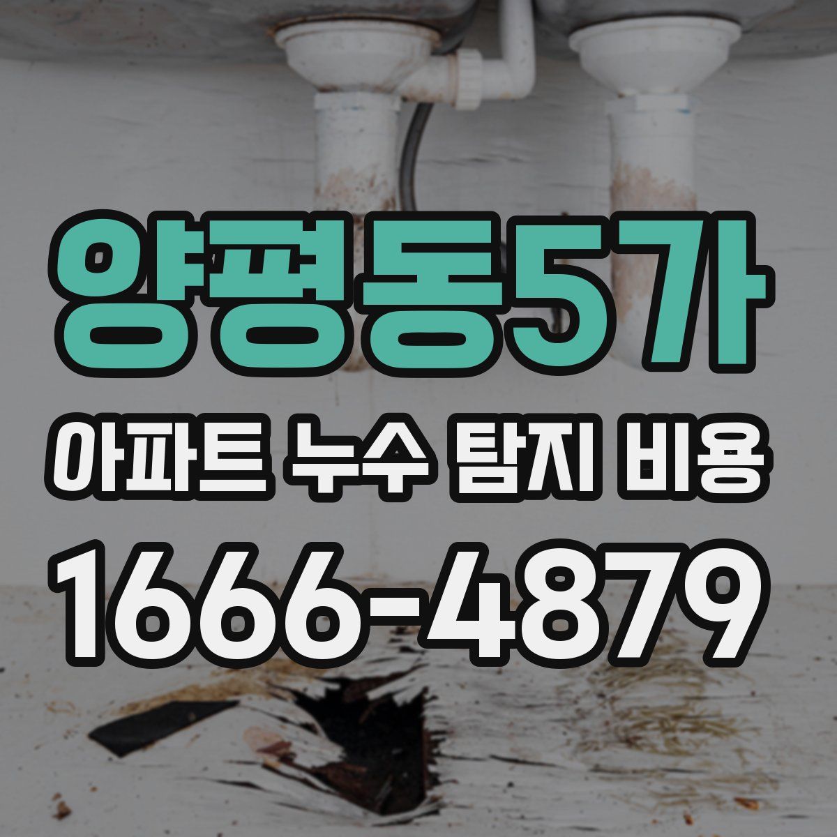 양평동5가 아파트 누수 탐지 비용