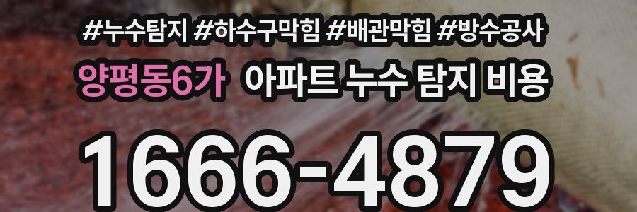 양평동6가 아파트 누수 탐지 비용