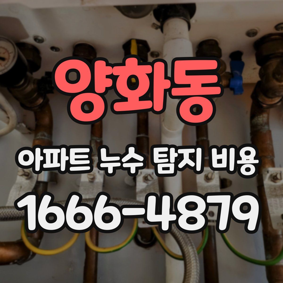 양화동 아파트 누수 탐지 비용