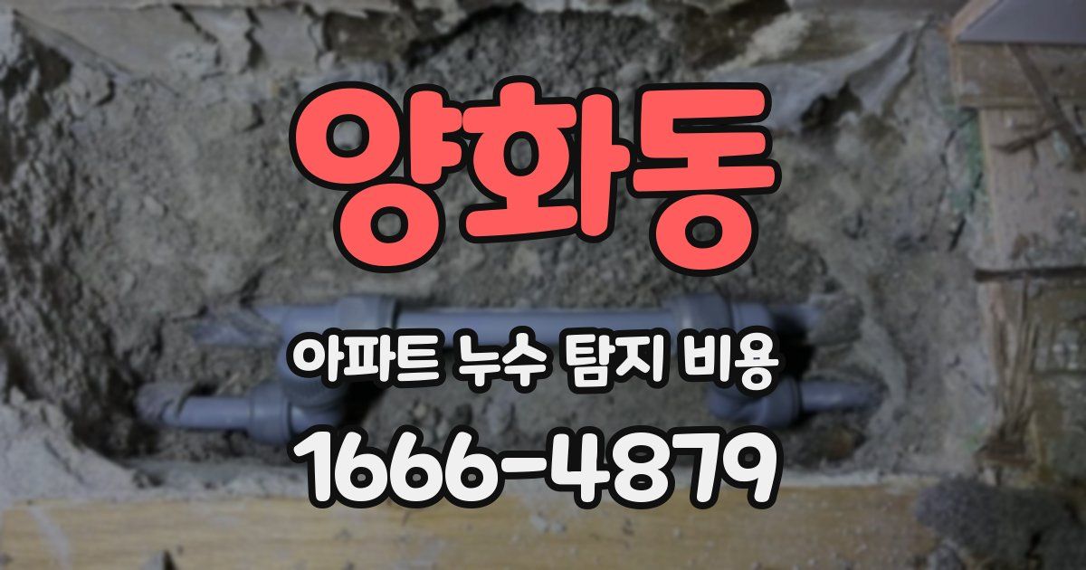 양화동 아파트 누수 탐지 비용