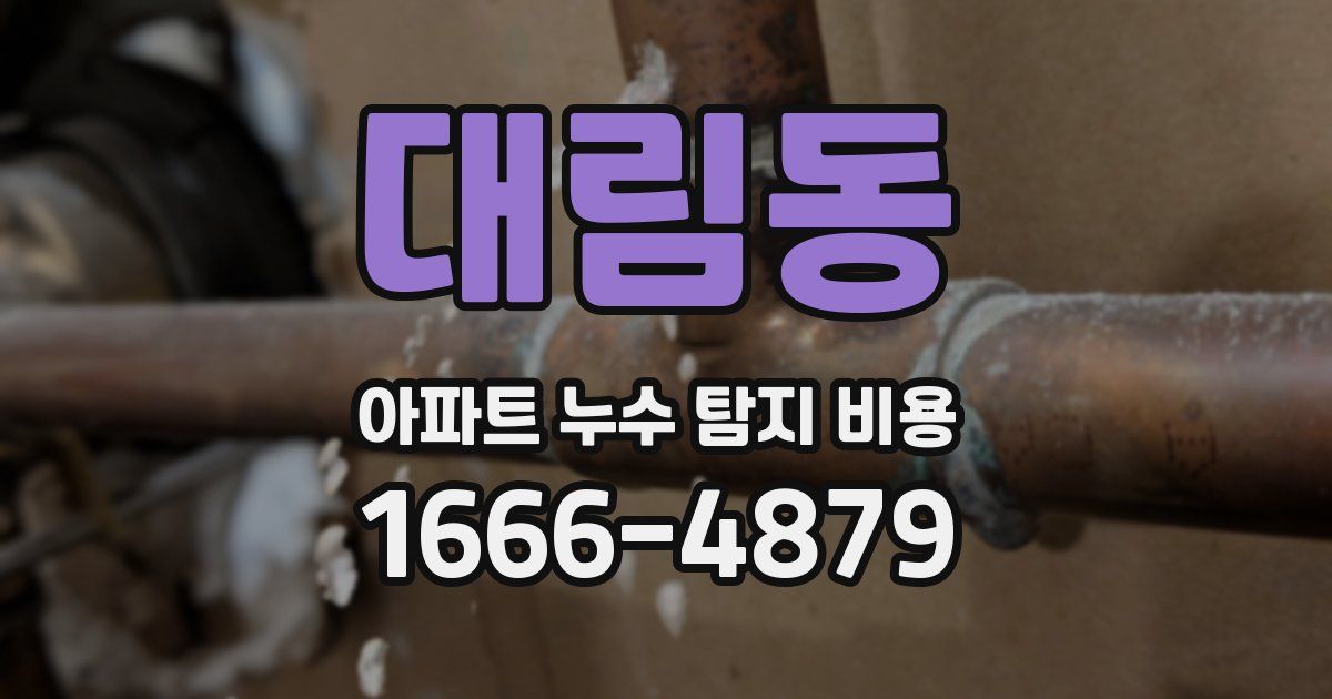 대림동 아파트 누수 탐지 비용