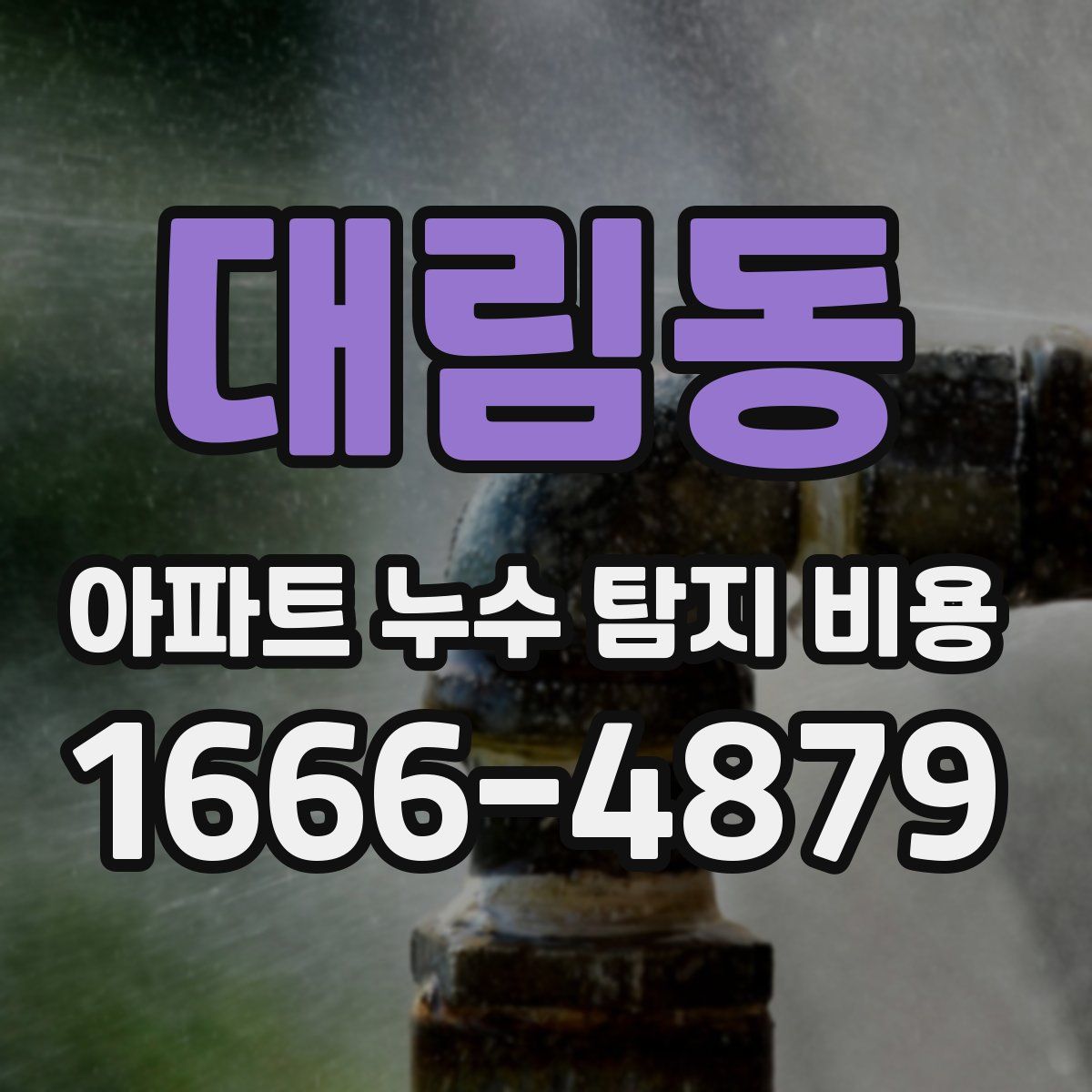 대림동 아파트 누수 탐지 비용