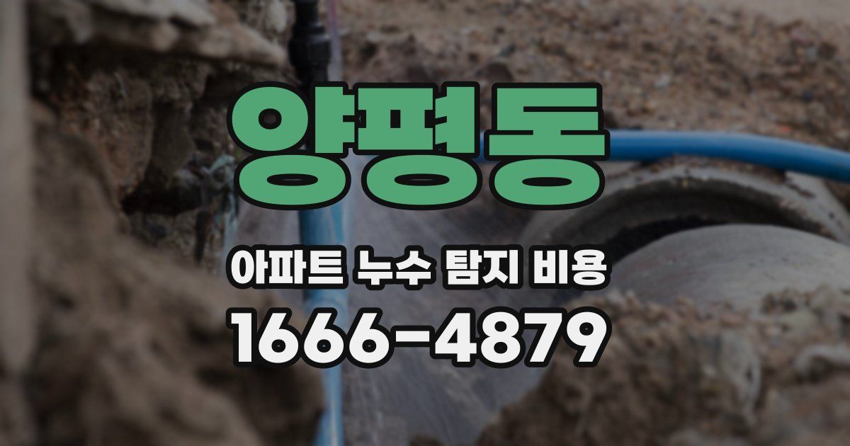 양평동 아파트 누수 탐지 비용