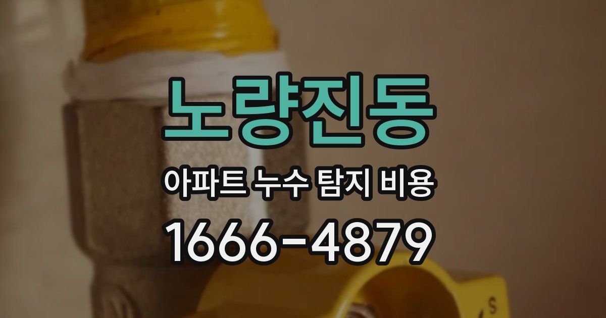 노량진동 아파트 누수 탐지 비용