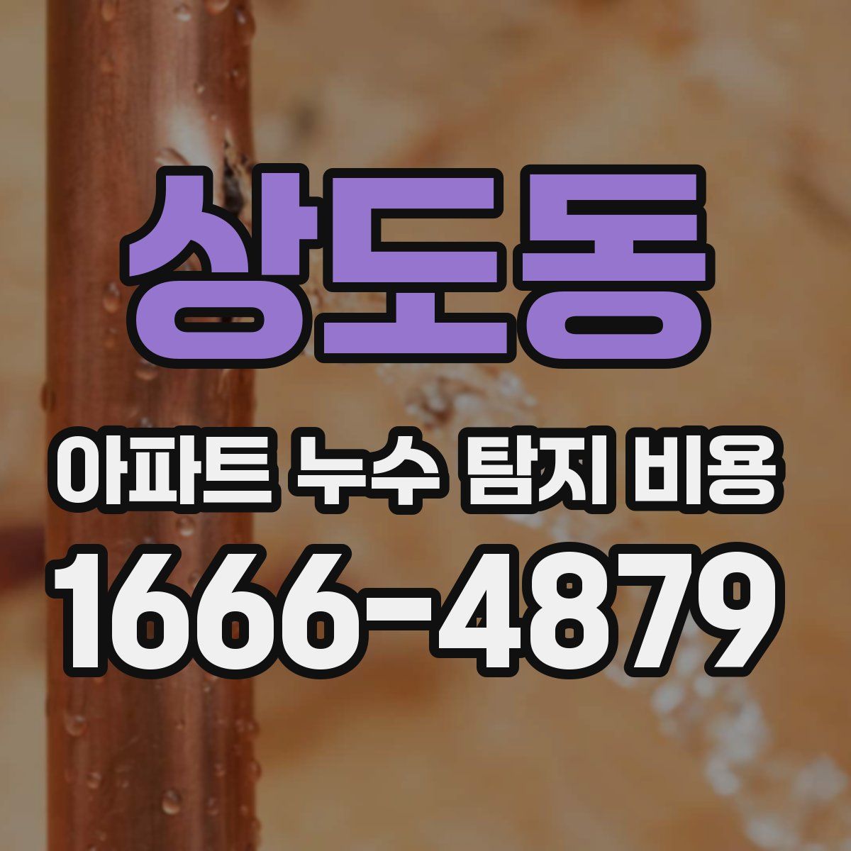 상도동 아파트 누수 탐지 비용