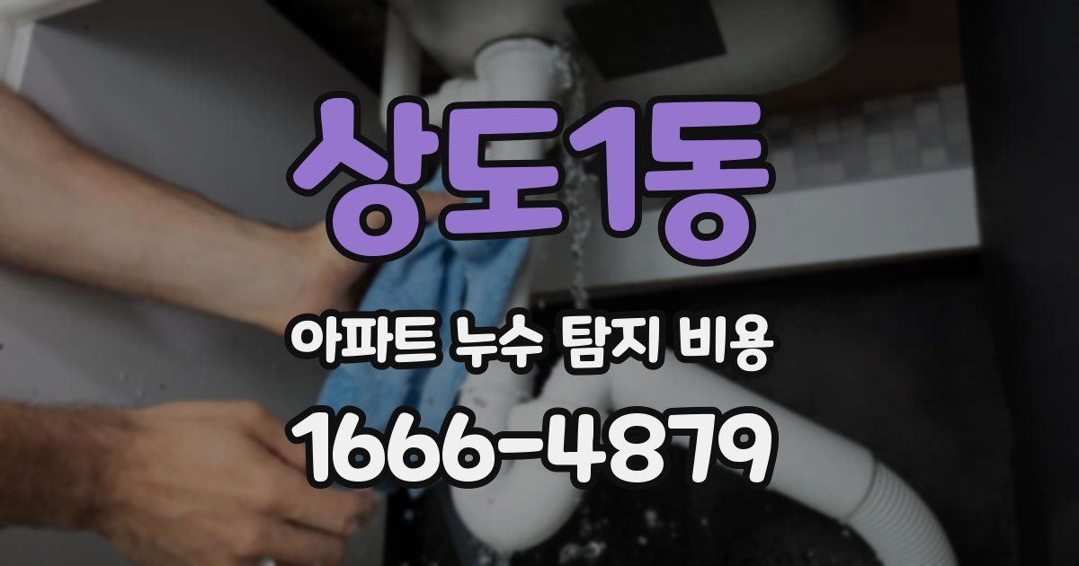 상도1동 아파트 누수 탐지 비용