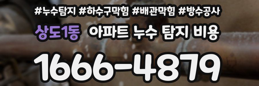 상도1동 아파트 누수 탐지 비용