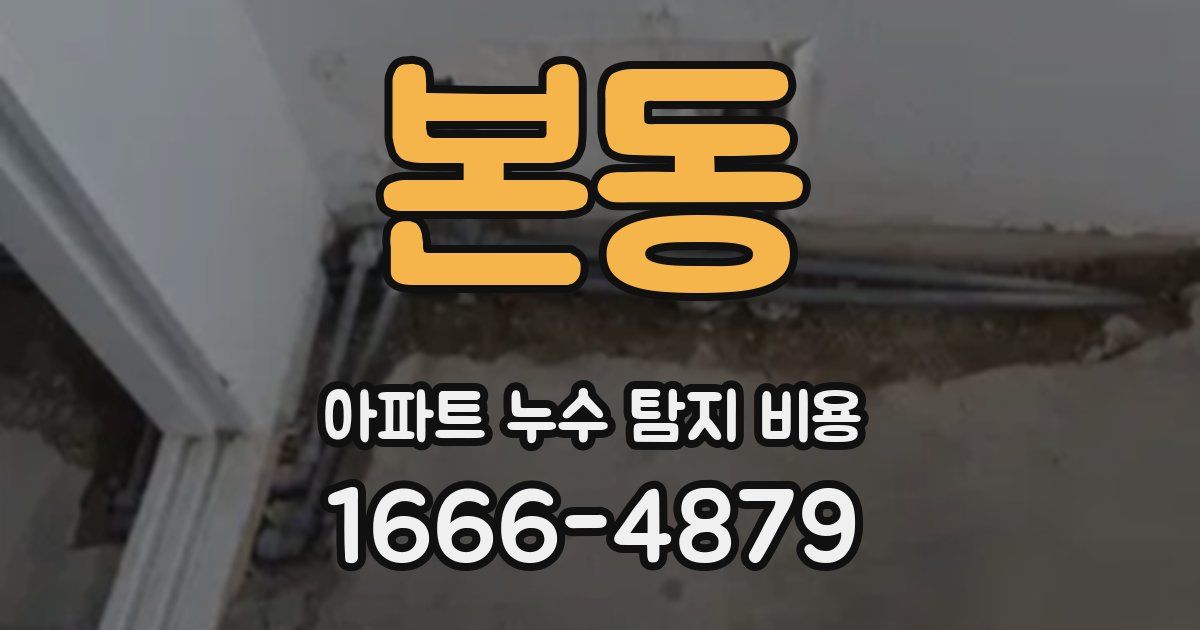 본동 아파트 누수 탐지 비용