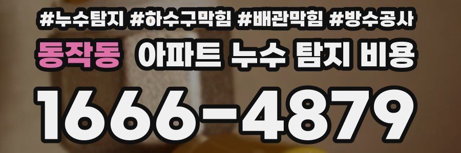 동작동 아파트 누수 탐지 비용