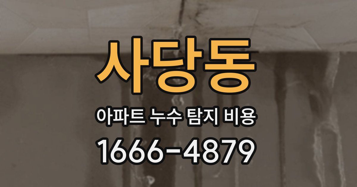 사당동 아파트 누수 탐지 비용