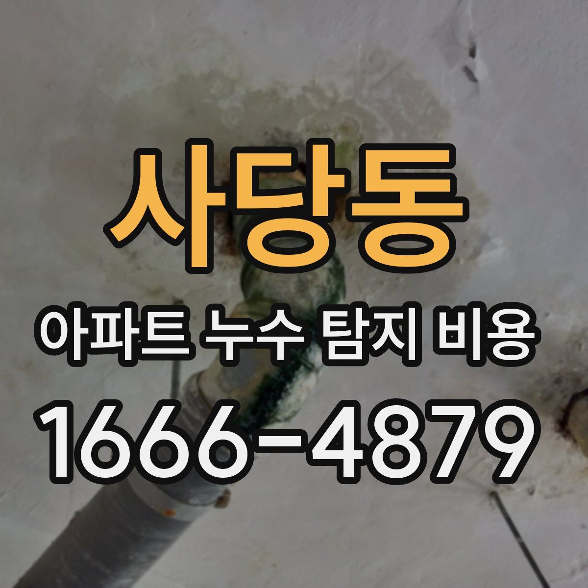 사당동 아파트 누수 탐지 비용