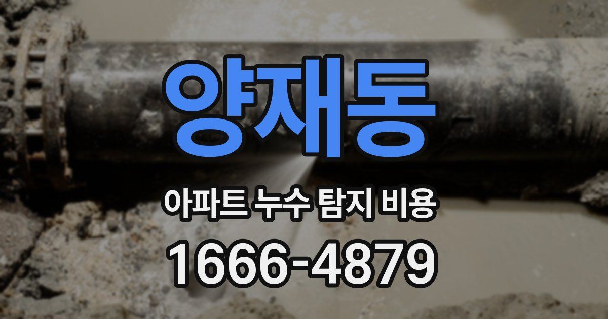 양재동 아파트 누수 탐지 비용