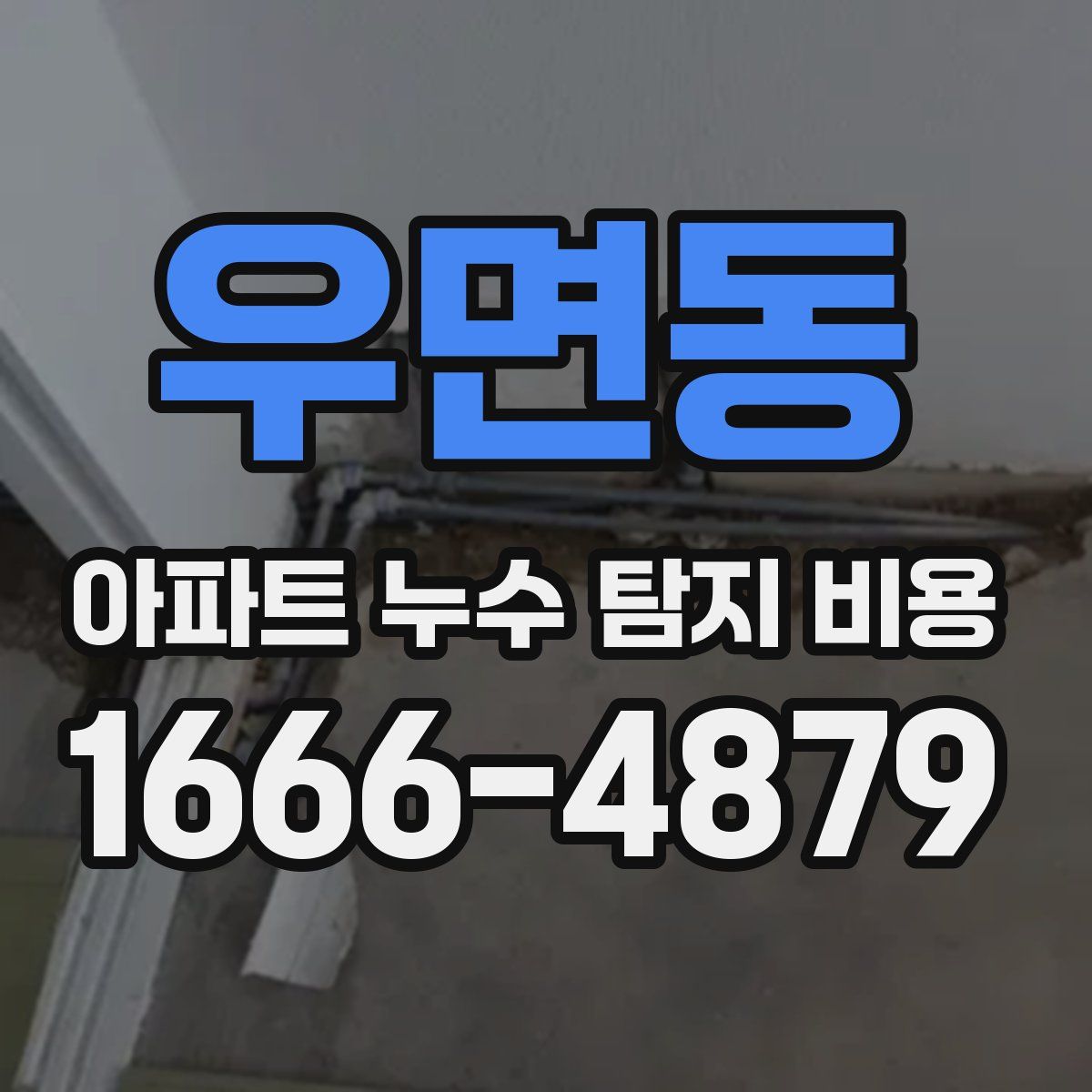 우면동 아파트 누수 탐지 비용