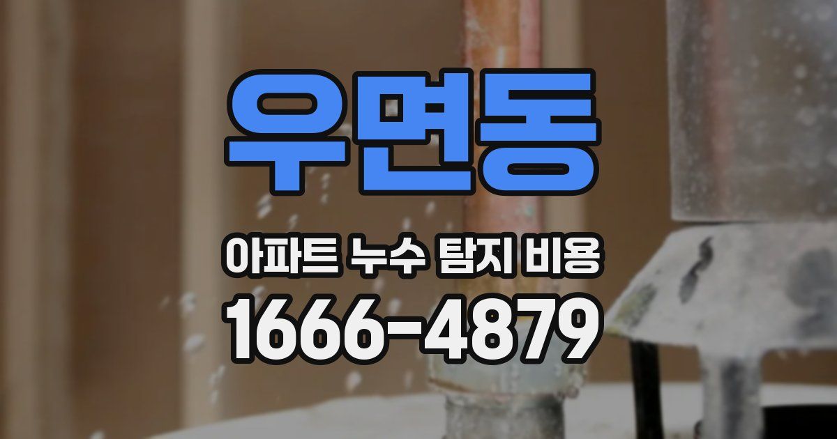 우면동 아파트 누수 탐지 비용