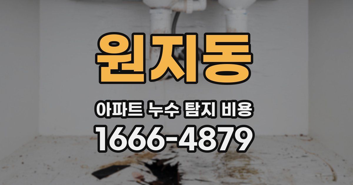 원지동 아파트 누수 탐지 비용