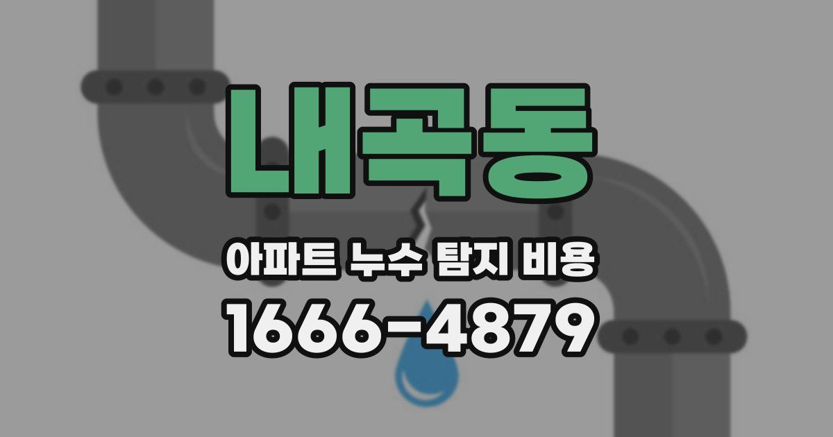 내곡동 아파트 누수 탐지 비용