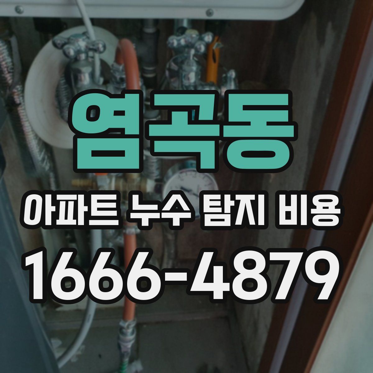 염곡동 아파트 누수 탐지 비용