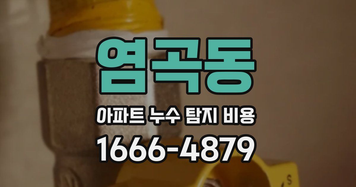 염곡동 아파트 누수 탐지 비용