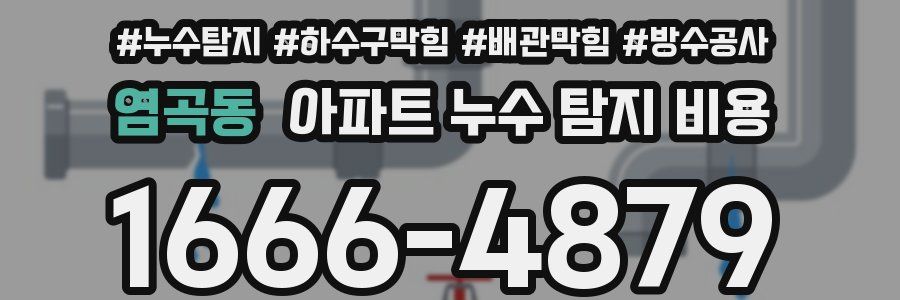 염곡동 아파트 누수 탐지 비용